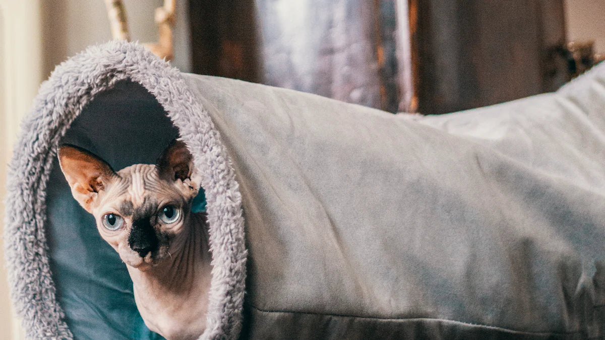 Picture Idea: Top 10 Unique Cat Beds Reviewed