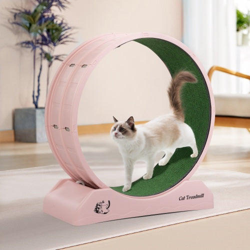 Cat Running Wheel, Small Animal Sports Treadmill With Locking Mechanism Gabby Whale