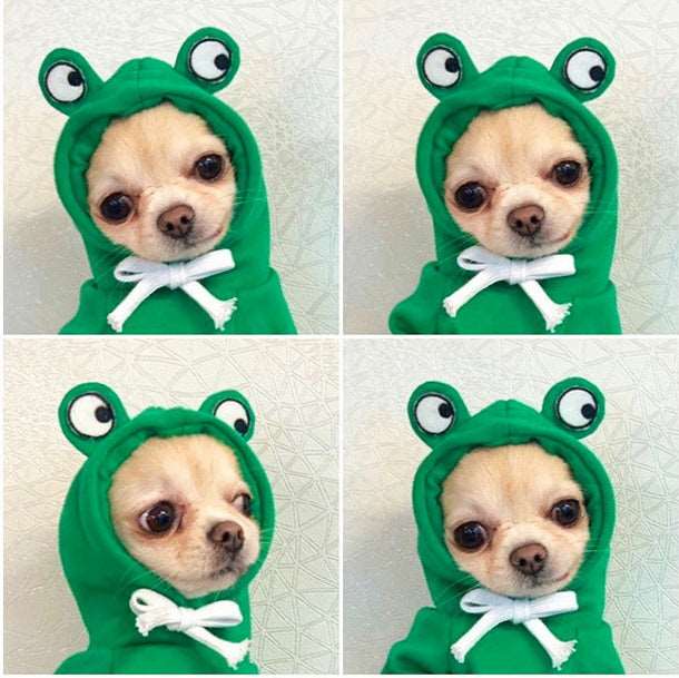 Cute Fruit Dog Clothes For Small Dogs Hoodies Winter Warm Fleece Pet Clothing Puppy Cat Costume Coat For French Chihuahua Outfit Gabby Whale