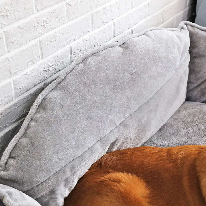 Dog bed sofa bed - Gabby Whale