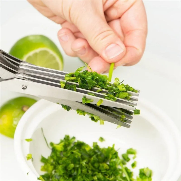 Multifunctional Multi-layer Green Onion Scissors Stainless Steel Onion Cutting Knife Herb Seaweed Spice Scissors Kitchen Scissor Kitchen Gadgets Gabby Whale