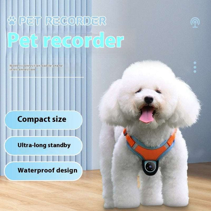 Pet Camera Collar - Motion Recorder & Tracker for Dogs and Cats with Video Recording - Gabby Whale