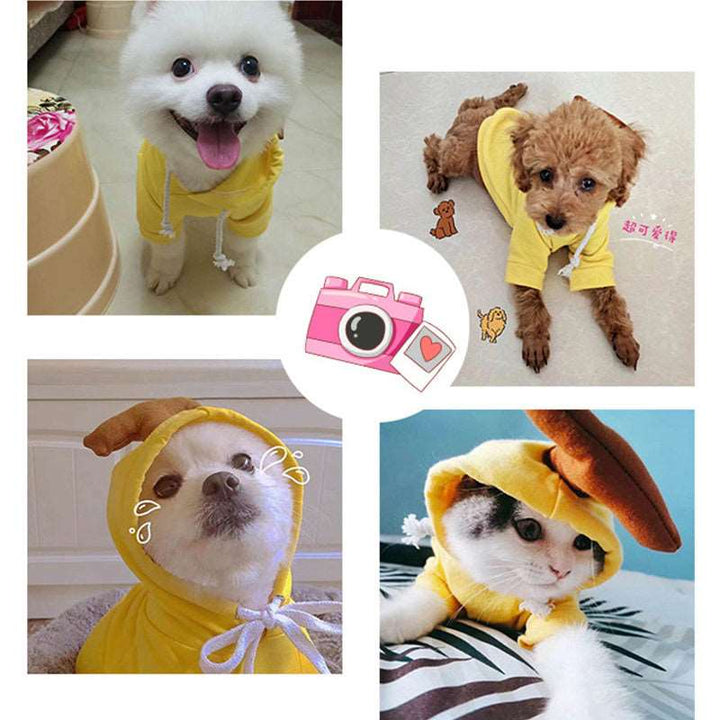 Cute Fruit Dog Clothes For Small Dogs Hoodies Winter Warm Fleece Pet Clothing Puppy Cat Costume Coat For French Chihuahua Outfit Gabby Whale