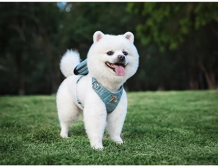 Eco-friendly Bio-Based Dog Harness and Leash Set in Blue, White, and Pink colors. Includes a comfortable harness, durable leash, and convenient poop bag dispenser. Suitable for daily walks, hiking, and outdoor activities.