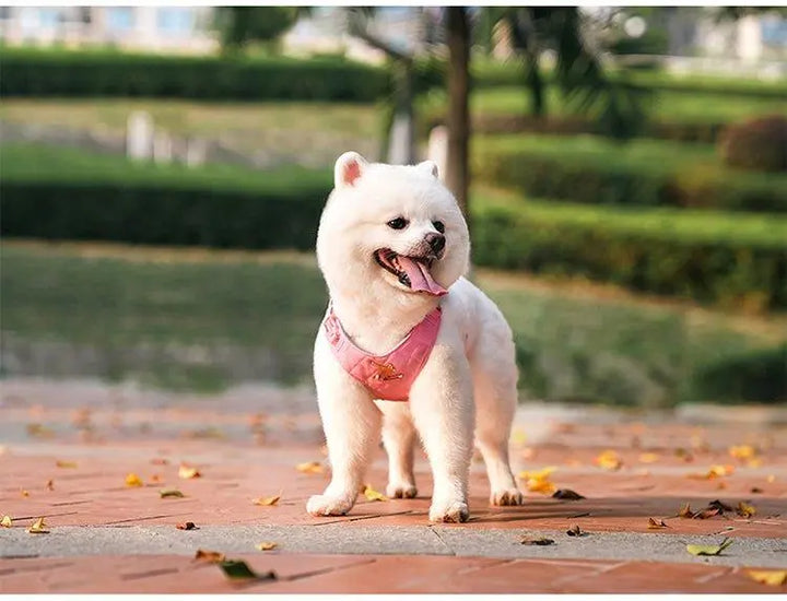 Eco-friendly Bio-Based Dog Harness and Leash Set in Blue, White, and Pink colors. Includes a comfortable harness, durable leash, and convenient poop bag dispenser. Suitable for daily walks, hiking, and outdoor activities.