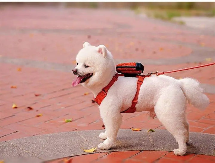 Eco-friendly Bio-Based Dog Harness and Leash Set in Blue, White, and Pink colors. Includes a comfortable harness, durable leash, and convenient poop bag dispenser. Suitable for daily walks, hiking, and outdoor activities.