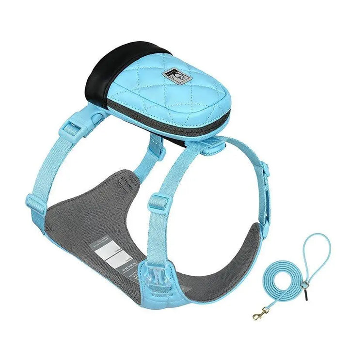 Bio-Based Dog Harness And Leash Set - Gabby Whale