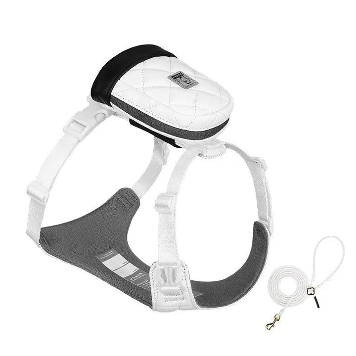 Bio-Based Dog Harness And Leash Set - Gabby Whale