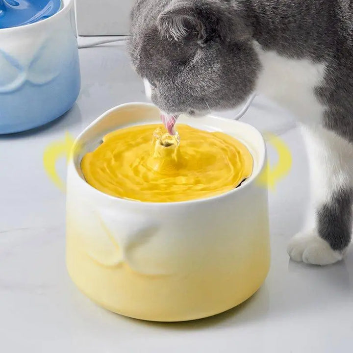 "Cat Face Nose Pet Water Dispenser with automatic water circulation and quiet operation, promoting pet hydration and health."