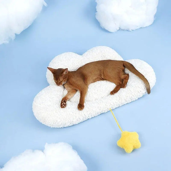 Cloud Shaped Cozy Pet Mat for Small Dogs and Cats - Gabby Whale