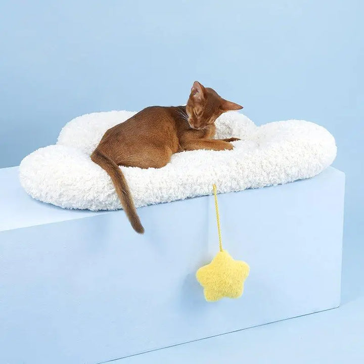 Cloud Shaped Cozy Pet Mat for Small Dogs and Cats - Gabby Whale