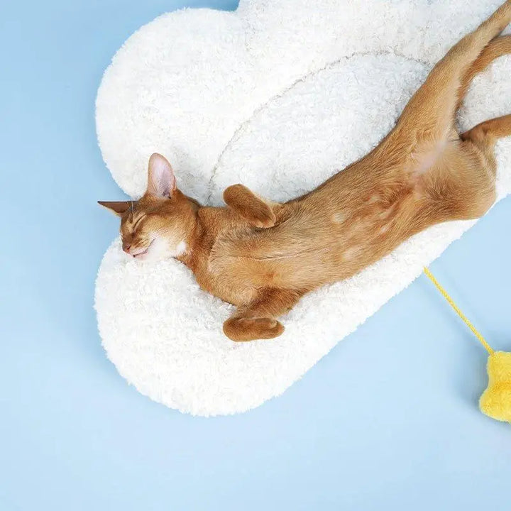 Cloud-shaped pet mat with soft sheepskin-like fabric and hanging star plush ball, designed for small dogs and cats.