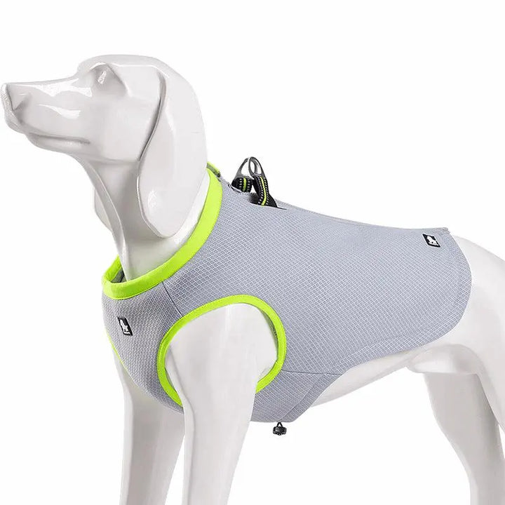 Cooling Vest for Dogs – Keep Your Pet Cool and Comfortable - Gabby Whale