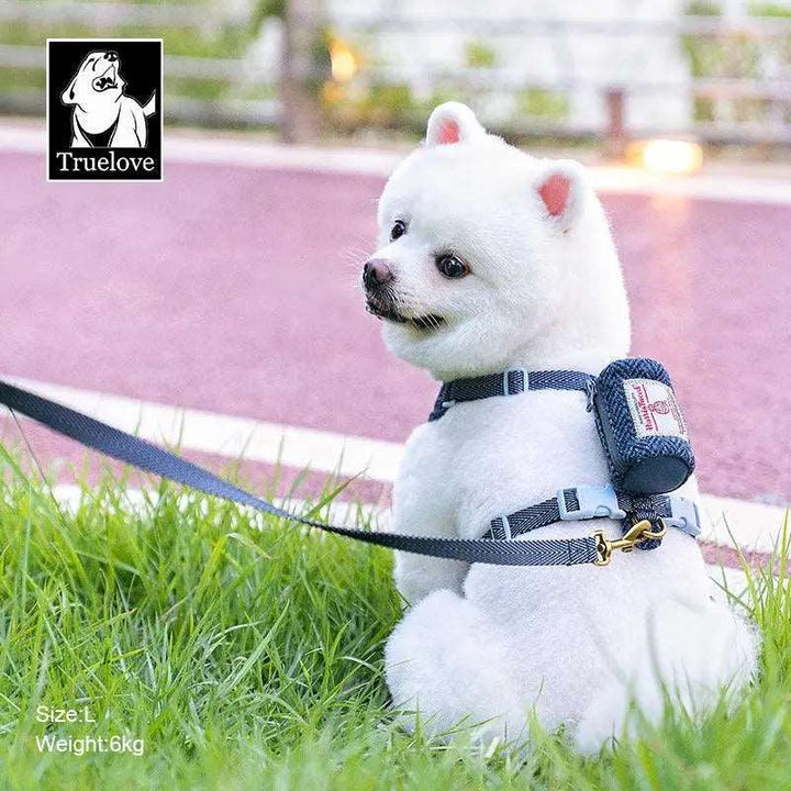 Stylish Dog Harness and Leash Set – Comfort and Safety for Your Dog - Gabby Whale