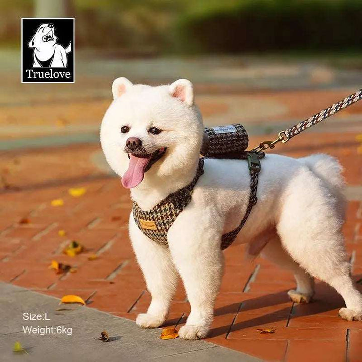 Stylish Dog Harness and Leash Set – Comfort and Safety for Your Dog - Gabby Whale