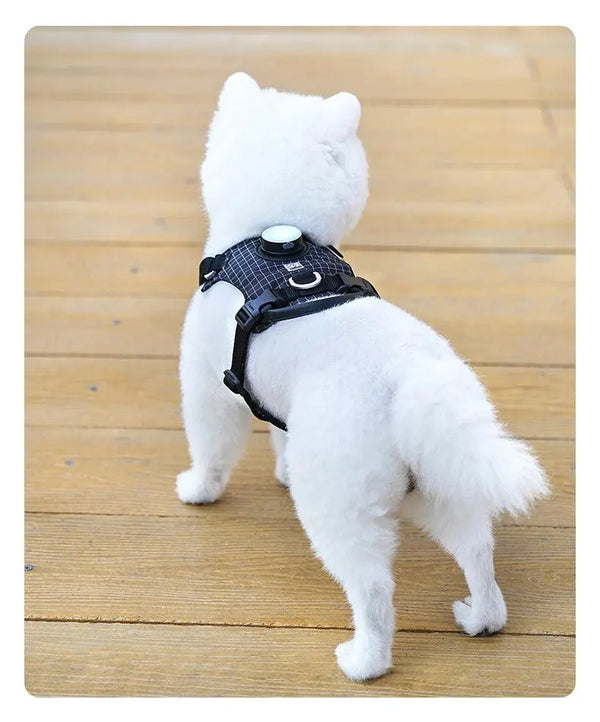 The LED Dog Harness with Reflective Tracker Holder