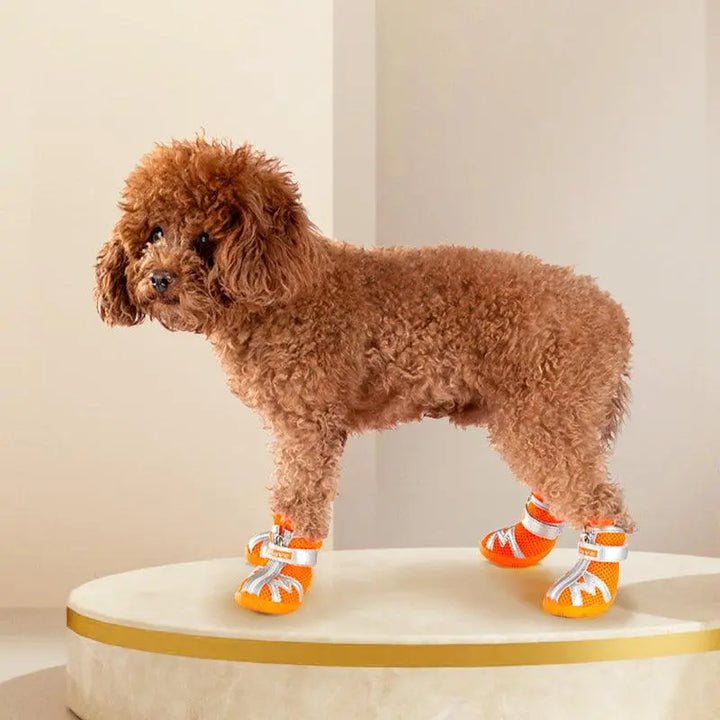 Anti Slip Shoes for Dogs – Fashionable, Comfortable, and Protective - Gabby Whale