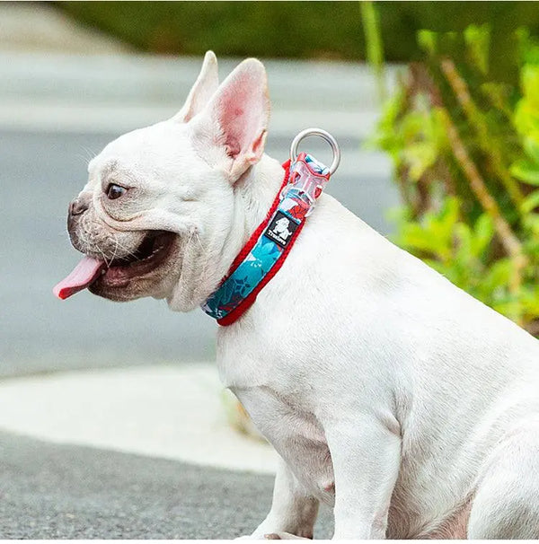 Floral dog collar with vibrant flower patterns, adjustable fit, and durable D-ring for leash attachment.