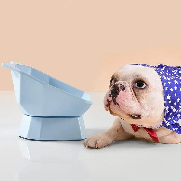 Frenchie Companion Pet Bowl - Gabby Whale