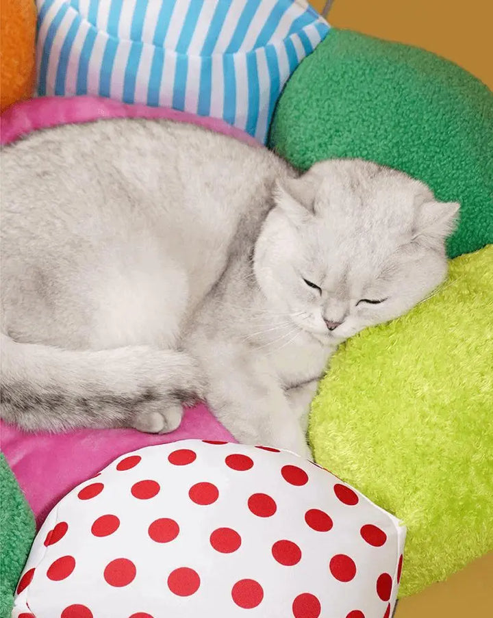 "Green caterpillar-shaped pet bed with colorful details, providing comfort and fun for pets."