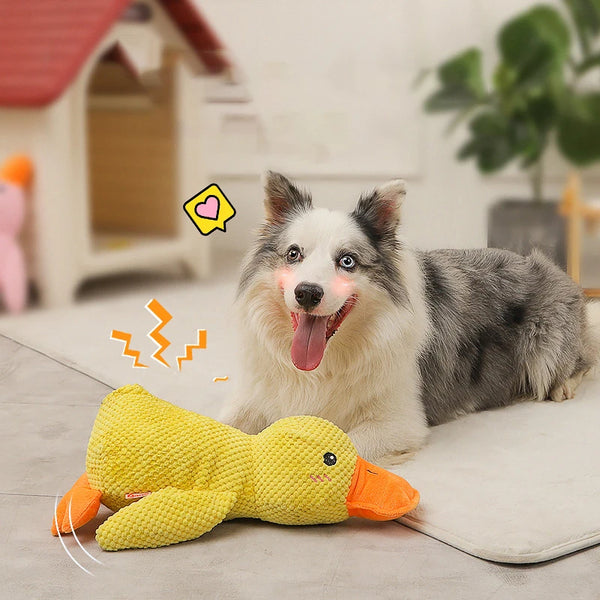 Duck Chew Toy | Sounding Dog Toy