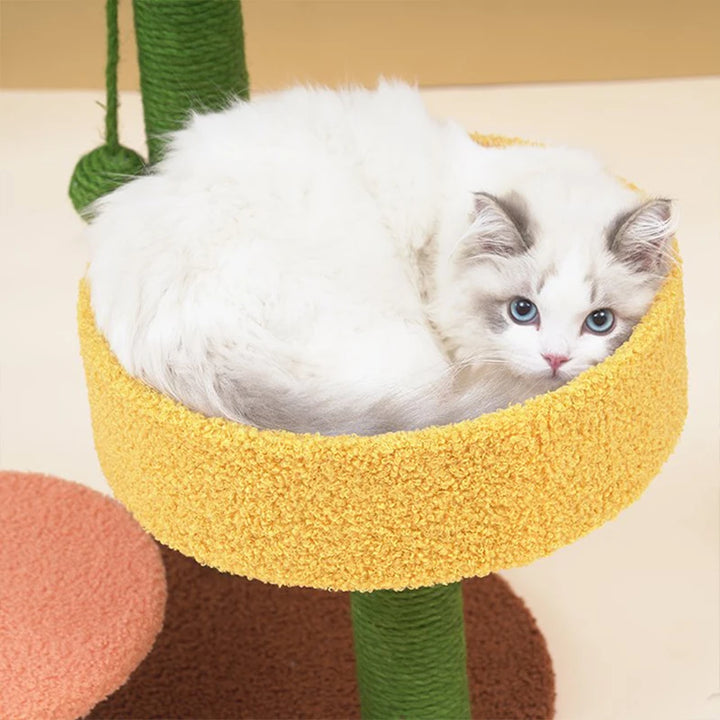 Small Cat Tree | Cactus Style Climbing Frame - Gabby Whale