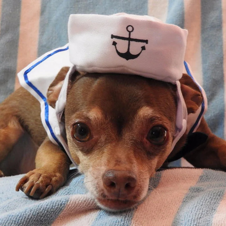 Funny Navy Sailor Pet Costume - Gabby Whale