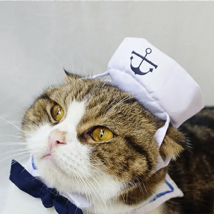 Funny Navy Sailor Pet Costume - Gabby Whale