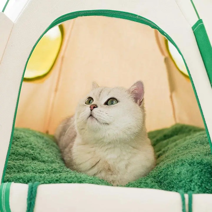 Close-up of Igloo Cat Tent with breathable mesh windows