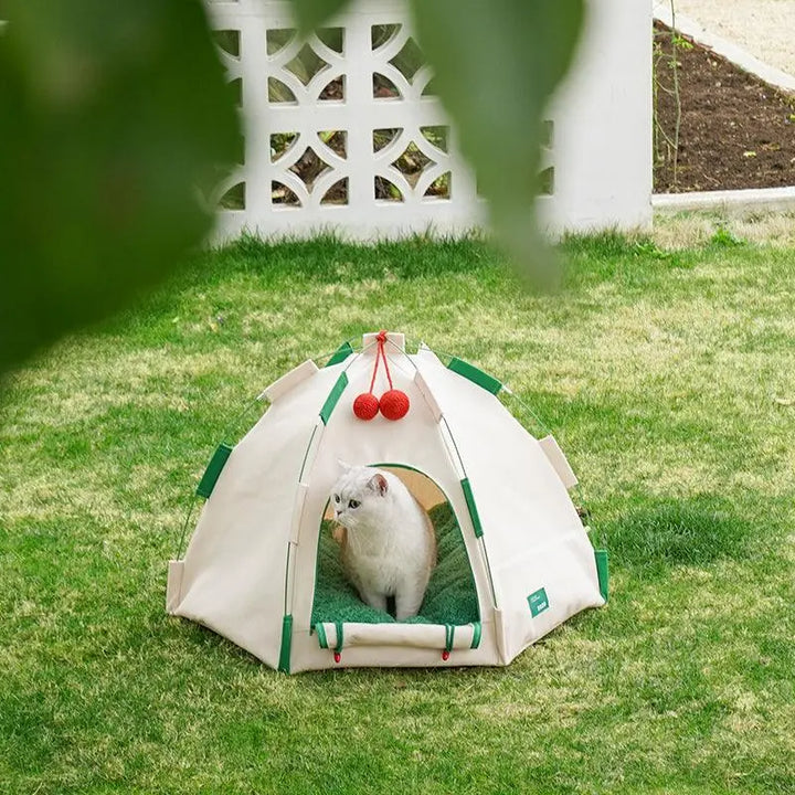 Igloo Cat Tent outdoors with cat resting inside