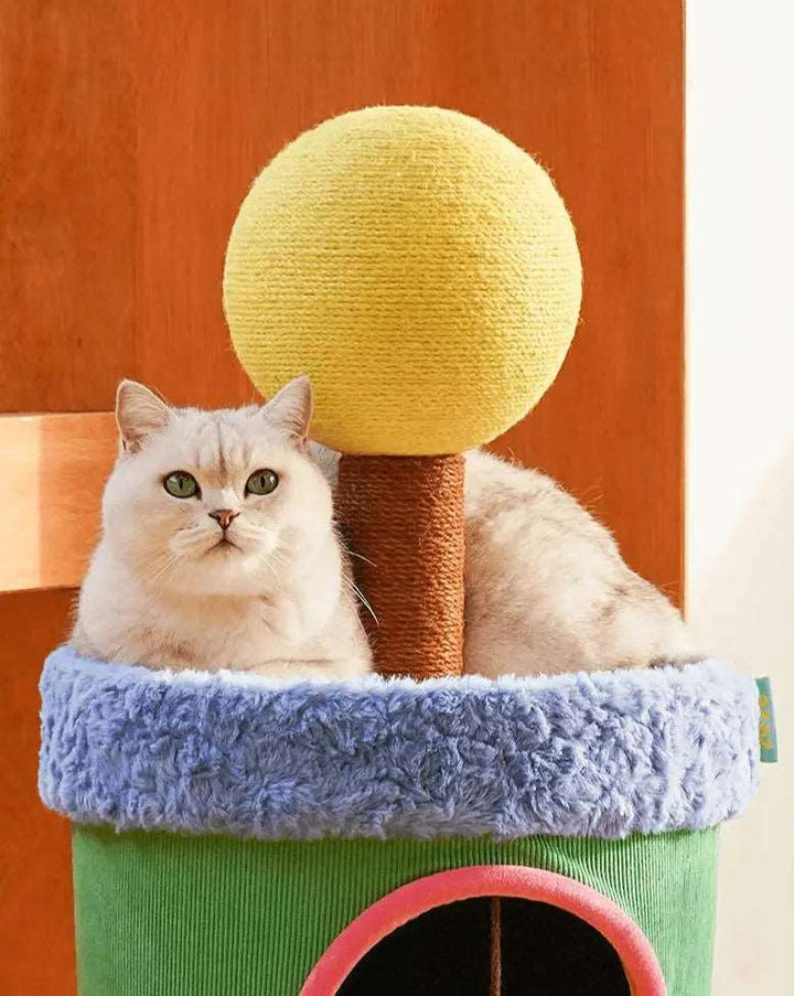 LOLLIPOP HOUSE Cat House - The Perfect Indoor Space for Your Cat - Gabby Whale