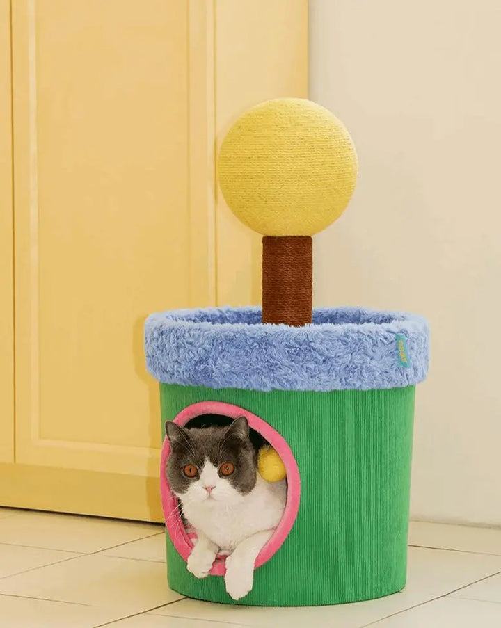 LOLLIPOP HOUSE Cat House - The Perfect Indoor Space for Your Cat - Gabby Whale