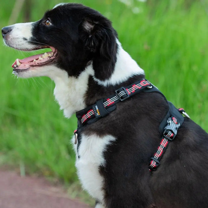 Truelove Lightweight Dog Harness - Durable CORDURA® fabric, adjustable straps, breathable mesh lining, reflective stitching for enhanced visibility, and an easy control handle for comfort and security during outdoor adventures.