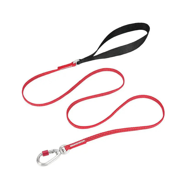 Reflective Slip Leash for Dogs – Ultra-Lightweight, Durable Nylon with 3M Reflective Strip & Aluminum Carabiner - Gabby Whale