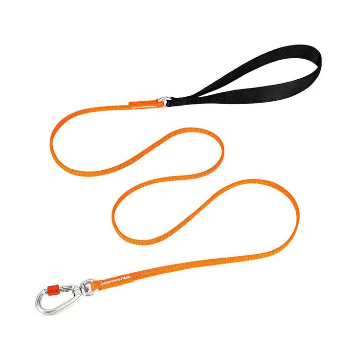 Reflective Slip Leash for Dogs – Ultra-Lightweight, Durable Nylon with 3M Reflective Strip & Aluminum Carabiner - Gabby Whale