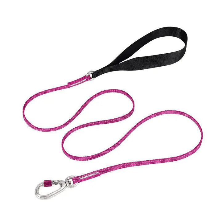 Reflective Slip Leash for Dogs – Ultra-Lightweight, Durable Nylon with 3M Reflective Strip & Aluminum Carabiner - Gabby Whale