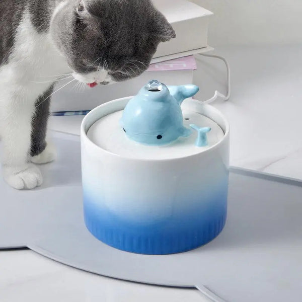 Ceramic Cat Water Fountain | Whale Water Fountain Spout - Gabby Whale