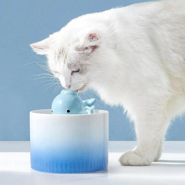 Little Whale Ceramic Cat Water Fountain with cute whale spout, designed to encourage pets to drink more water