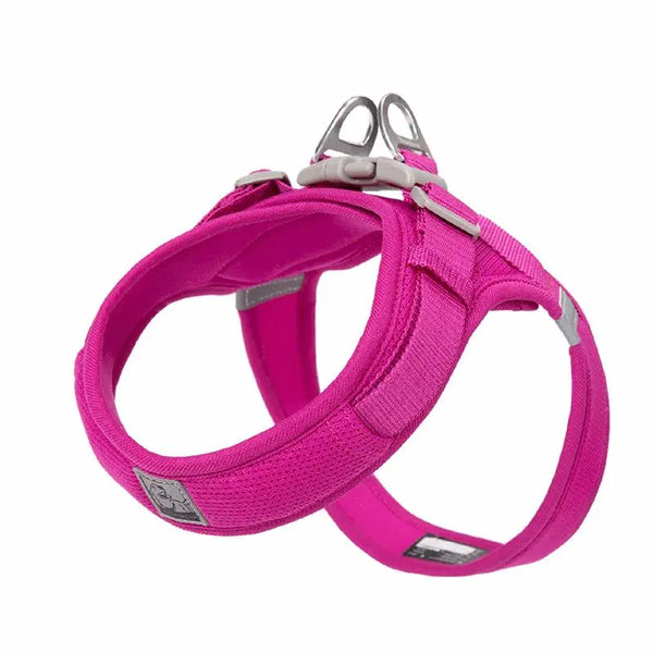 Comfortable & Breathable Mesh Dog Harness – Adjustable Fit for All Breeds - Gabby Whale