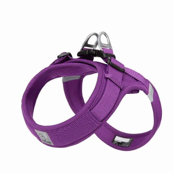 Truelove Mesh Dog Harness – Lightweight, Breathable, and Adjustable Pet Harness in Vibrant Colors, Providing Comfort and Secure Fit for Pets of All Sizes.