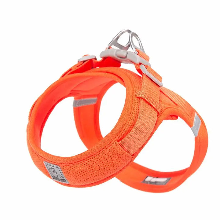 Truelove Mesh Dog Harness – Lightweight, Breathable, and Adjustable Pet Harness in Vibrant Colors, Providing Comfort and Secure Fit for Pets of All Sizes.