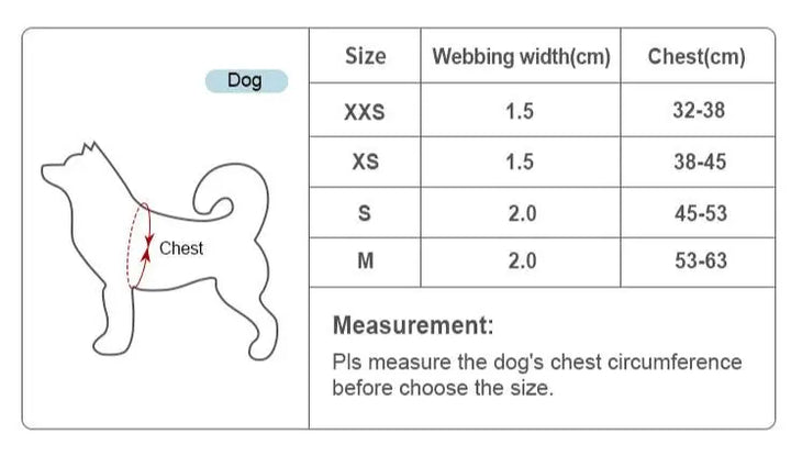 Comfortable & Breathable Mesh Dog Harness – Adjustable Fit for All Breeds - Gabby Whale