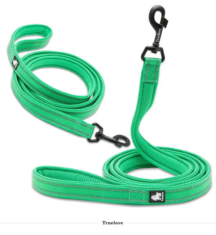 A close-up image of a mesh padded dog leash featuring high-density nylon webbing, a breathable mesh-padded handle for comfort, and a sturdy zinc alloy hook. The leash is shown in vibrant colors with integrated reflective stitching for enhanced visibility during nighttime walks.