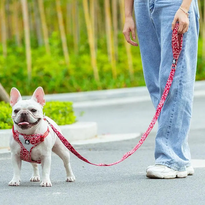 Multi-Handle Dog Leash in floral pattern displayed on a flat surface.