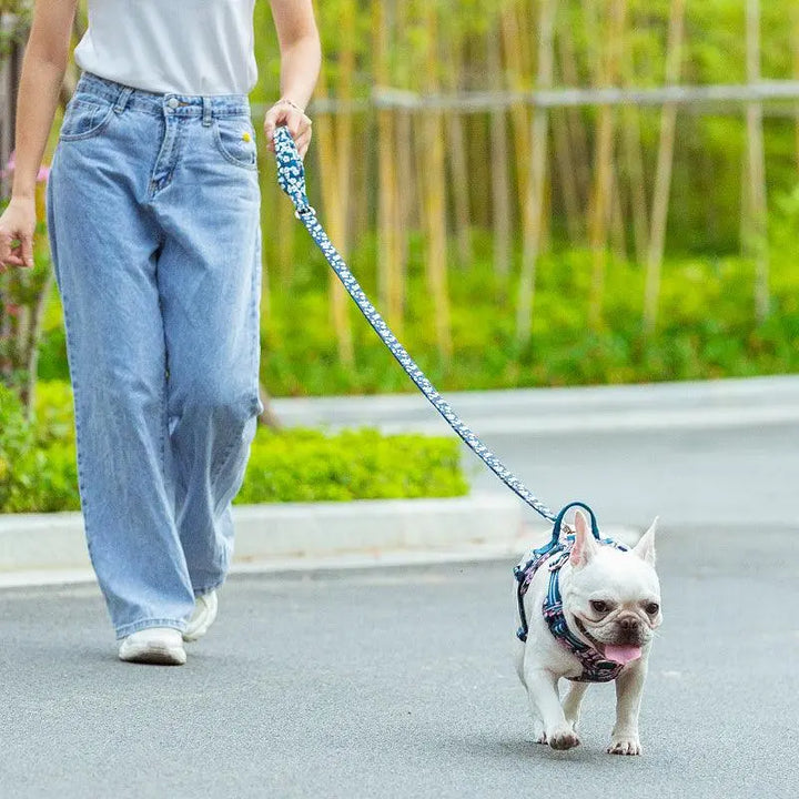 Multi-Handle Dog Leash in floral pattern displayed on a flat surface.