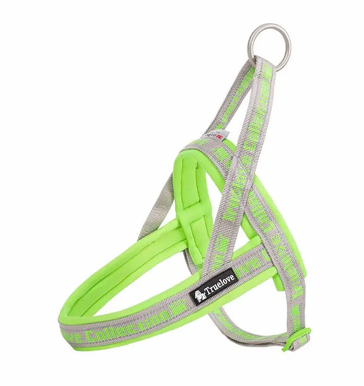 Padded Dog Harness | Comfortable, Reflective, and Secure - Gabby Whale