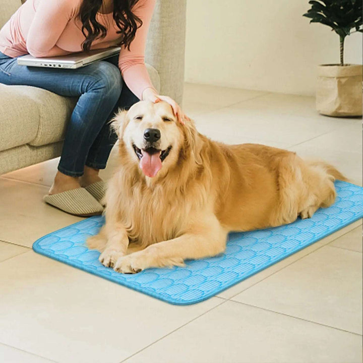 Pet Cooling Mat Cool Pad Cushion Dog Cat Puppy Blanket For Summer Sleeping Bed Dog Cooling Bed Pet Cooling Mat Gabby Whale