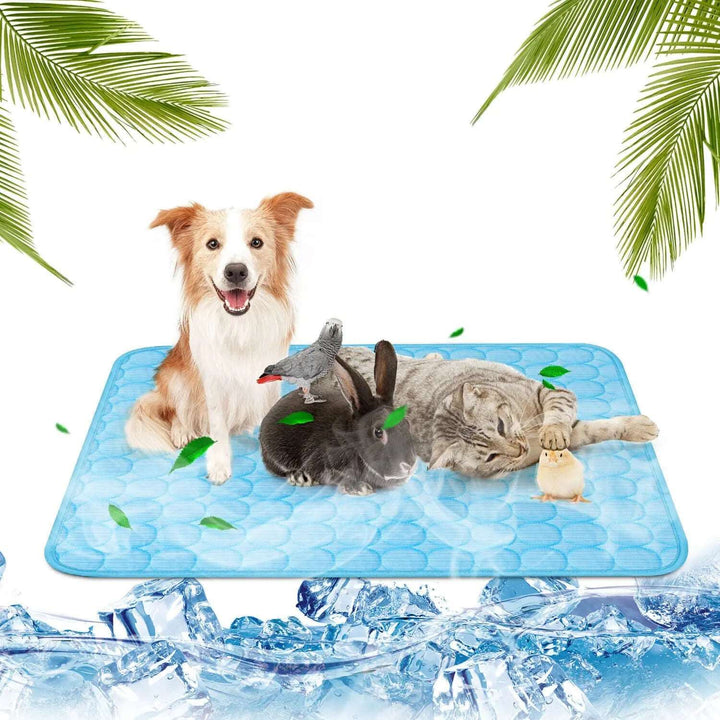 Pet Cooling Mat Cool Pad Cushion Dog Cat Puppy Blanket For Summer Sleeping Bed Dog Cooling Bed Pet Cooling Mat Gabby Whale