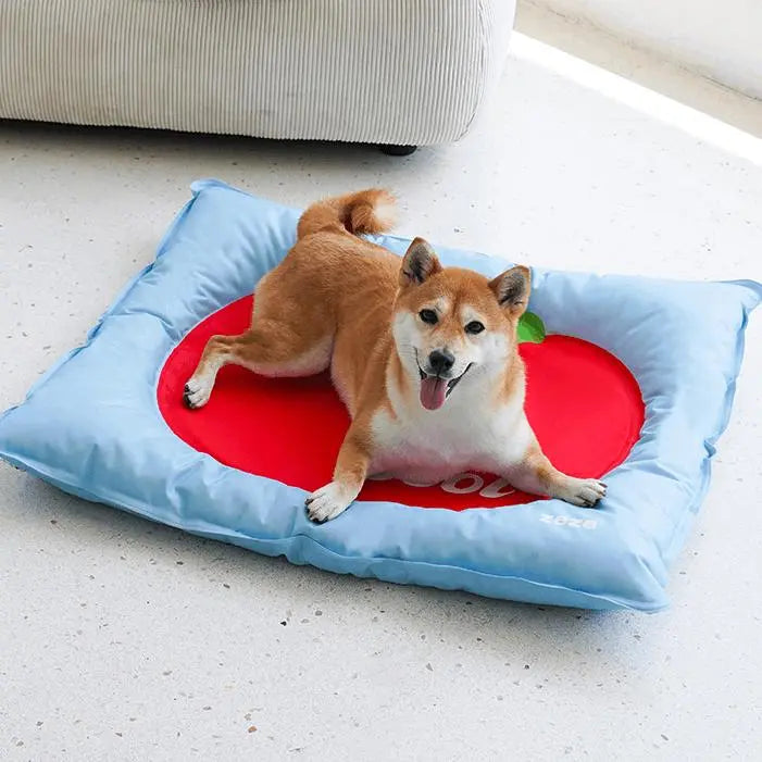 Summer Cool Pet Cooling Mat with fruit patterns, providing comfort and cooling for pets during hot weathe