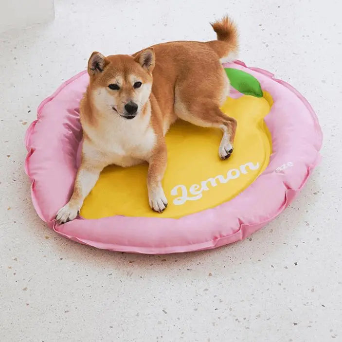 Summer Cool Pet Cooling Mat with fruit patterns, providing comfort and cooling for pets during hot weathe